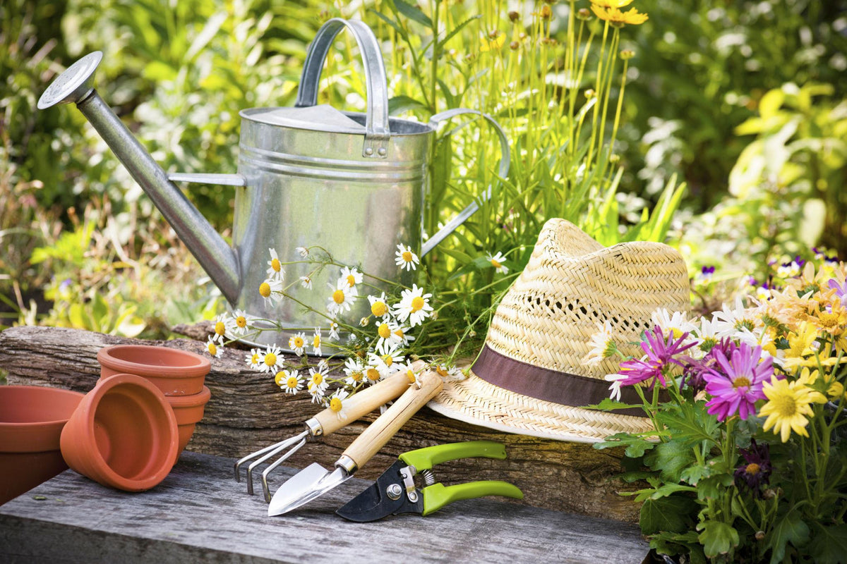 Garden Accessories