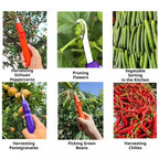 SIMOLIA® Hook Harvesting Cutter