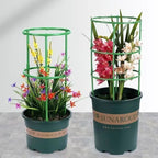 SIMOLIA® Modular Plant Support Cage