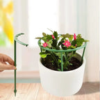 SIMOLIA® Modular Plant Support Cage