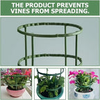 SIMOLIA® Modular Plant Support Cage
