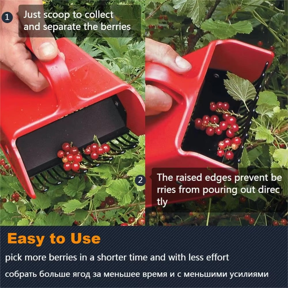Portable Berry Picker – Metal Comb Fruit Picking Tool