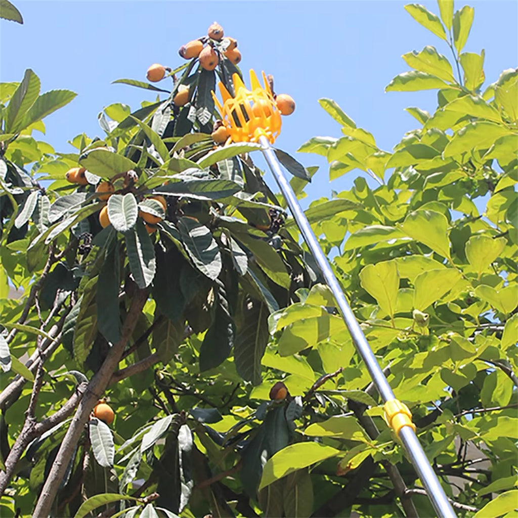 SIMOLIA® Fruit Picking Basket Attachment