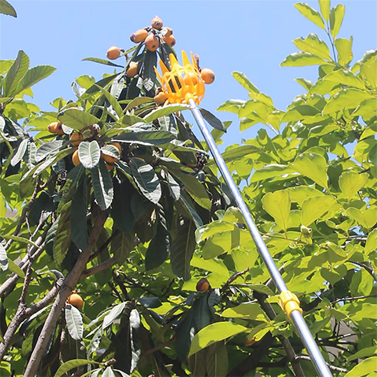 SIMOLIA® Fruit Picking Basket Attachment
