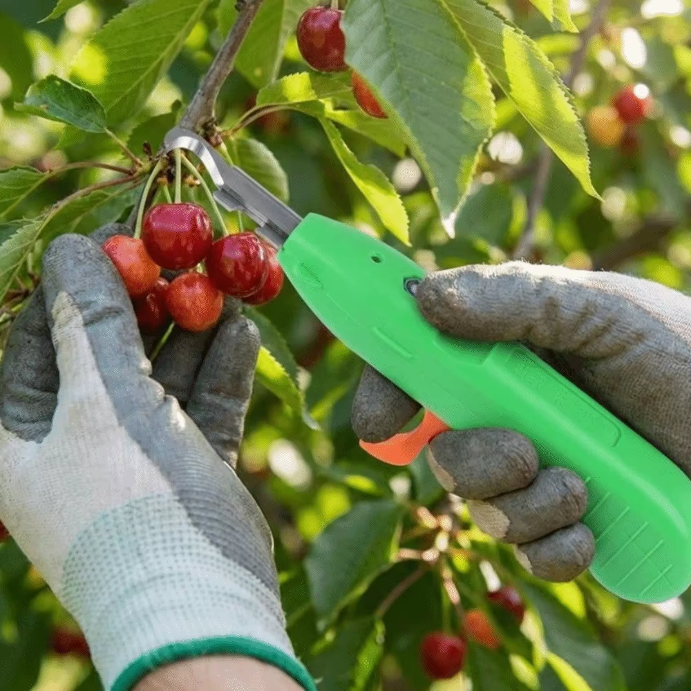 SIMOLIA® Hook Harvesting Cutter