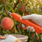 SIMOLIA® Hook Harvesting Cutter
