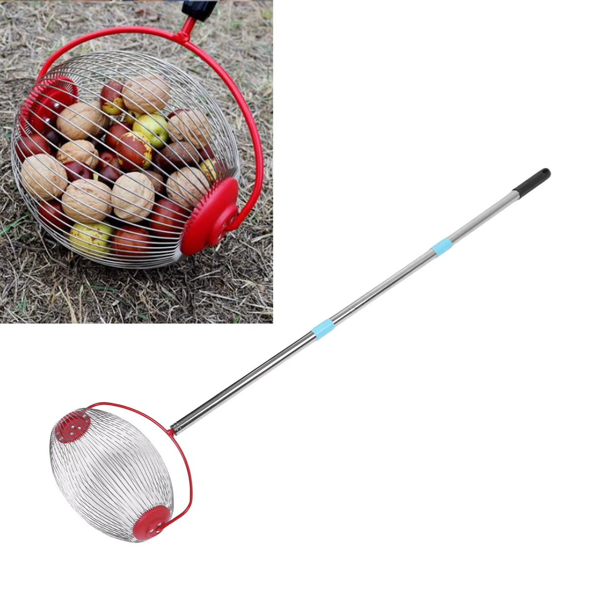 SIMOLIA® Rolling Nut Collector